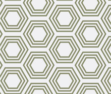 Load image into Gallery viewer, Concentric green hexagons on a pale gray background.
